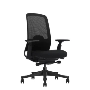 Cloudy MB Black Frame Ergonomic Chair